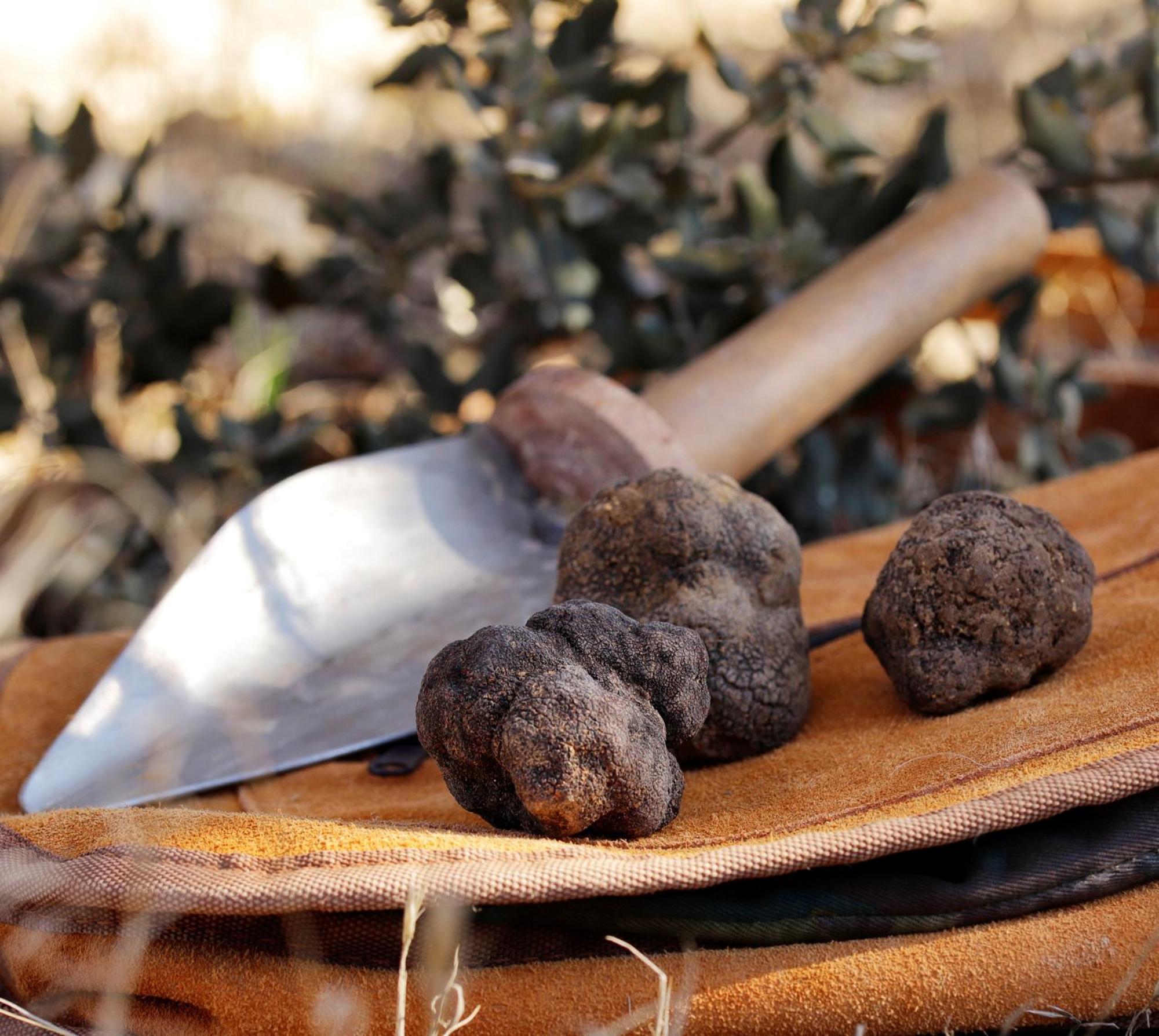 Apartament Aromas Del Jiloca, Tierra De Trufas Calamocha Zewnętrze zdjęcie